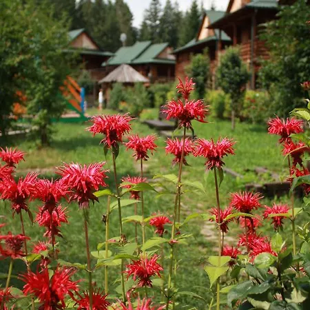 Hotel Kermanych 2*